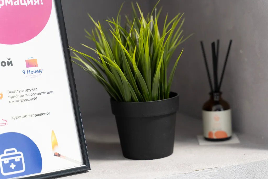 Зеленая студия