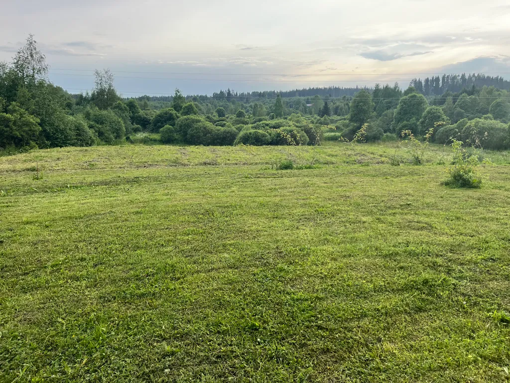 Тихий домик