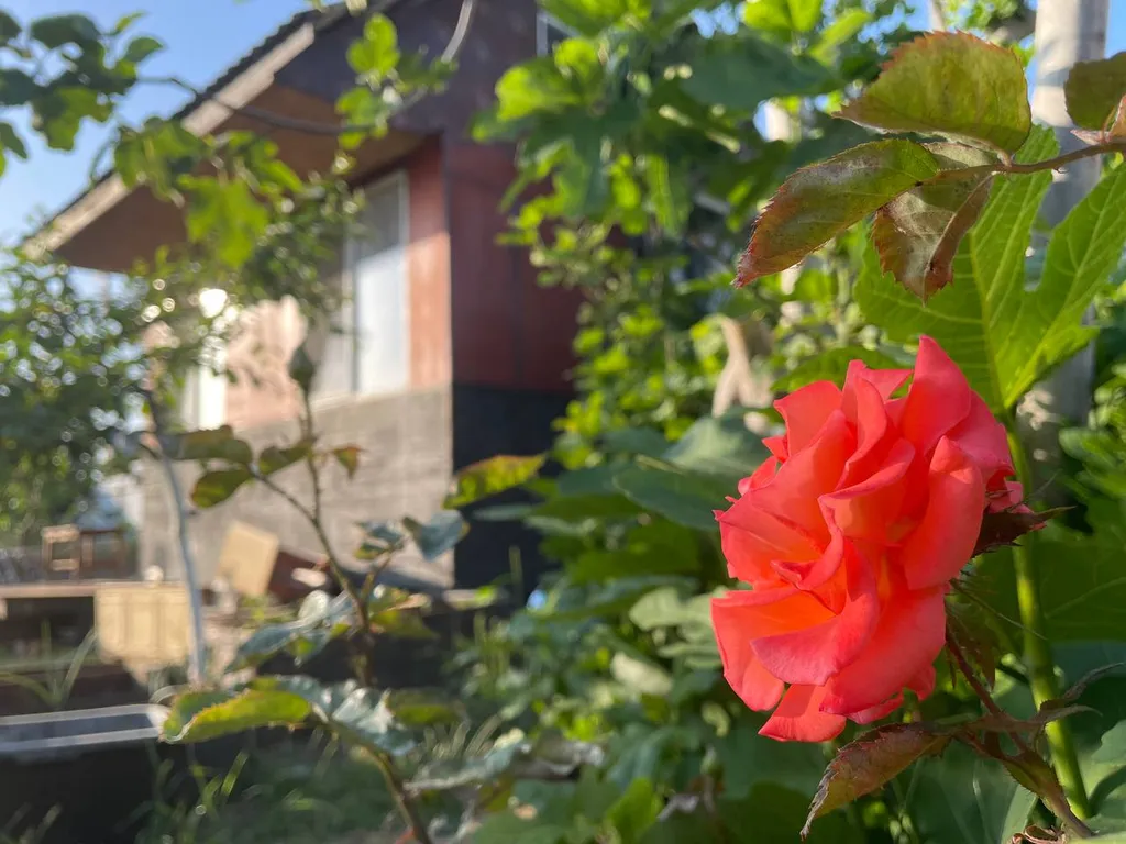 Уютный гостевой домик For Two