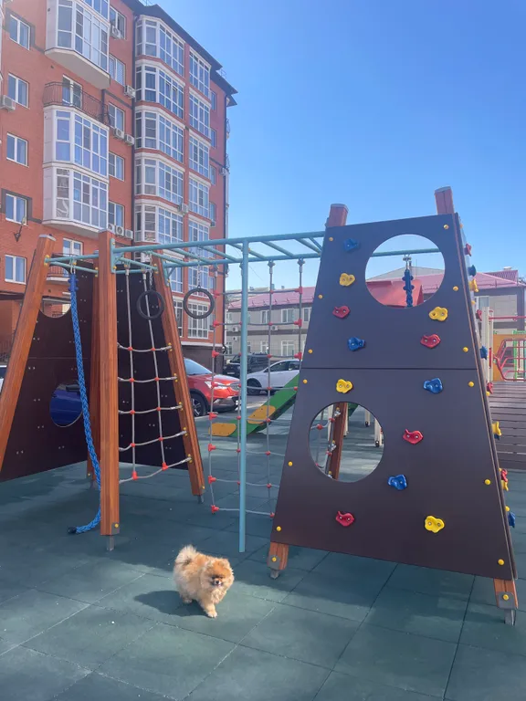 Просторная квартира с видовым балконом близ Питьевой Галереи Санатории