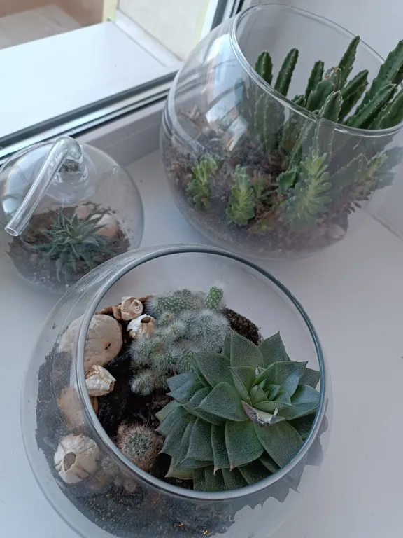 Комфортная и уютная квартира