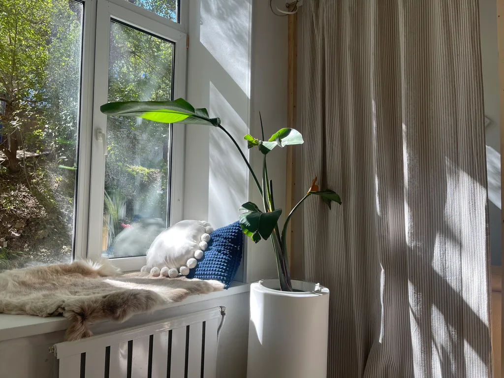 Двухуровневая студия на спортивной