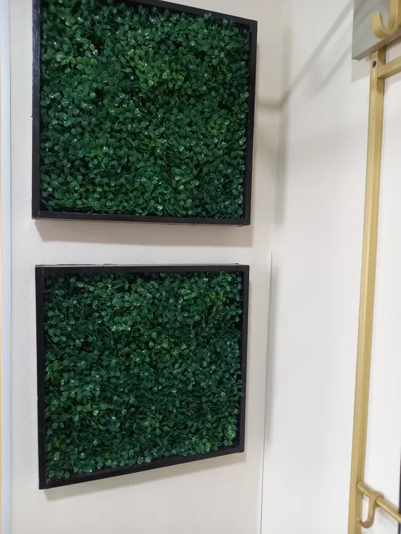 Солнечная орбита