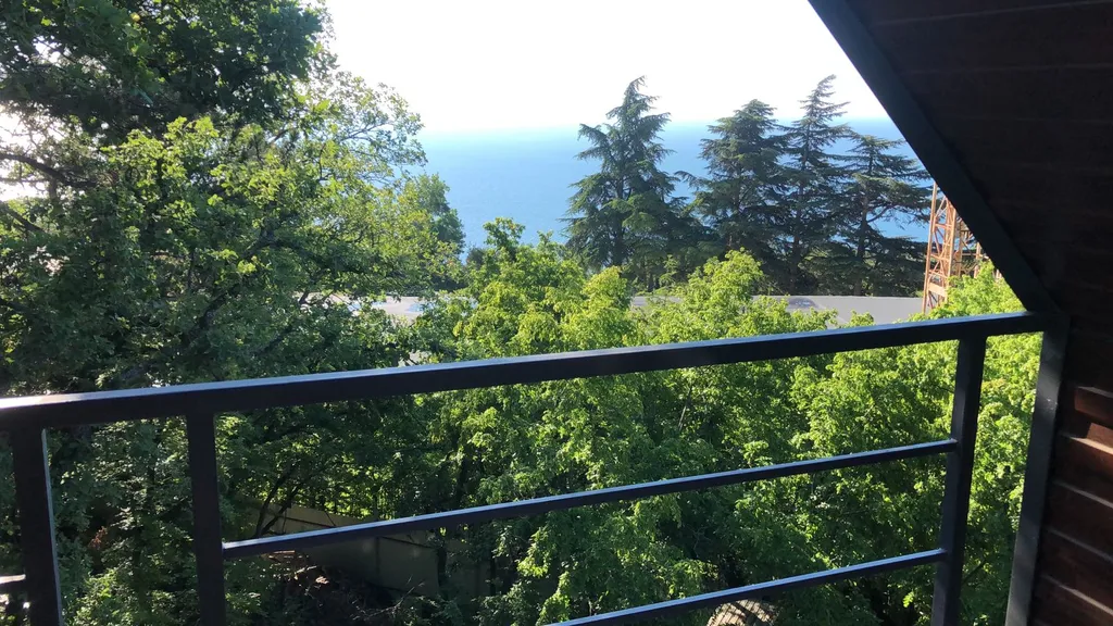 Лесная лагуна