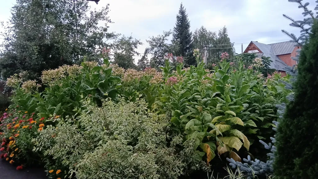 Уютный гостевой эко-дом Sova