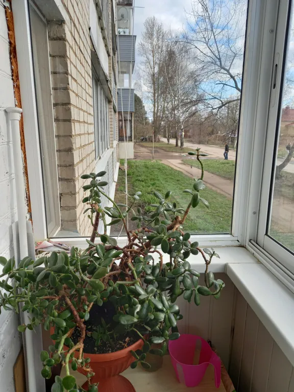 Однокомнатная квартира в Ростове Великом