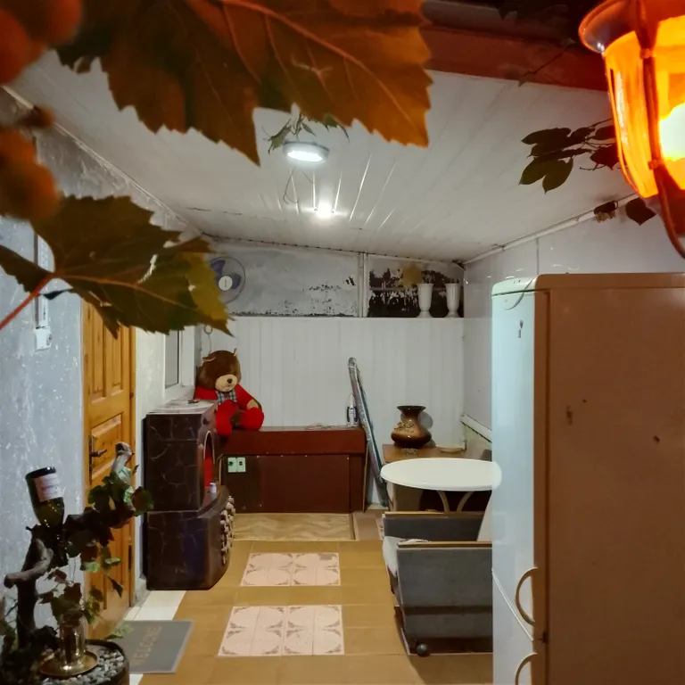 Уютный дом в центре города