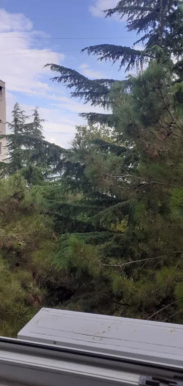 Квартира однокомнатная