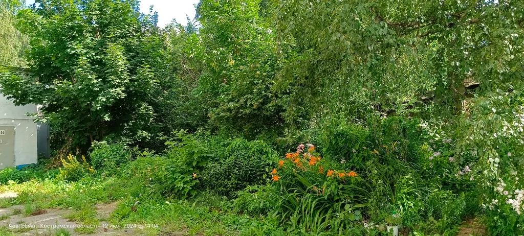 Квартира в самом центре у площади Сусанинской и Пожарной каланчи