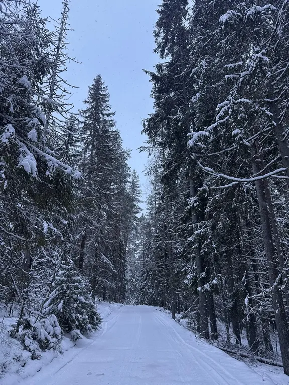 Уютный домик на берегу речки