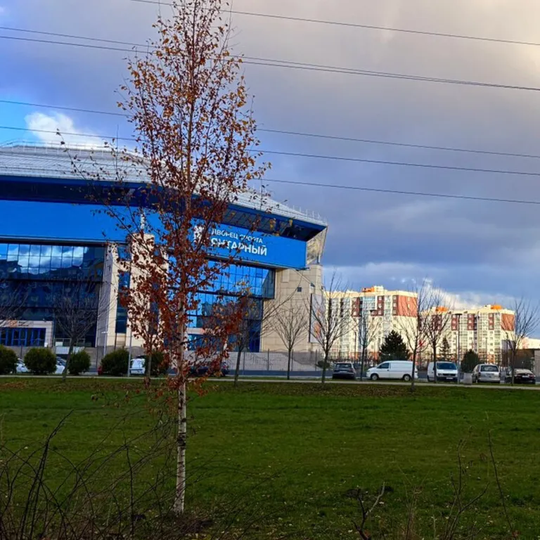 Квартира Уютная 1-комнатная квартира в одном из лучших районов — Калининград