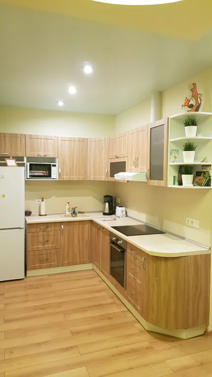Квартира Квартира Apartment on Сhapaeva ecostyle — Петрозаводск