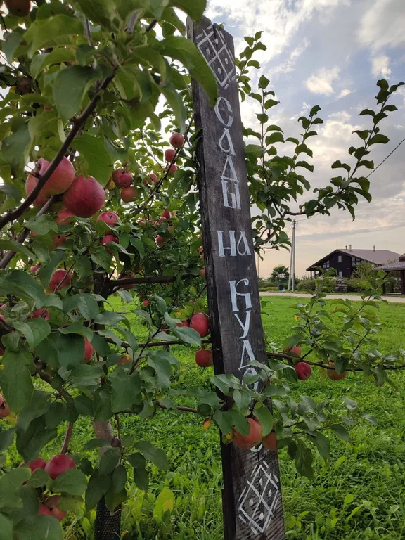 Гостевой дом в яблоневом саду из бревен Карельской сосны
