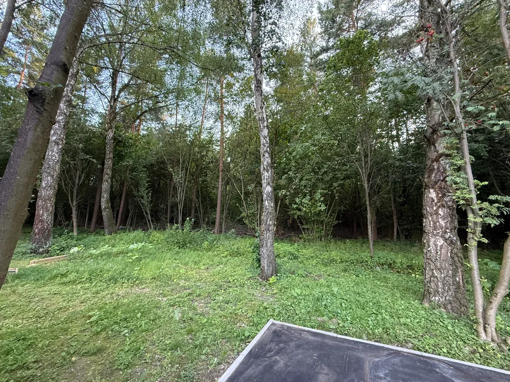 Одноэтажный дом в Домодедово