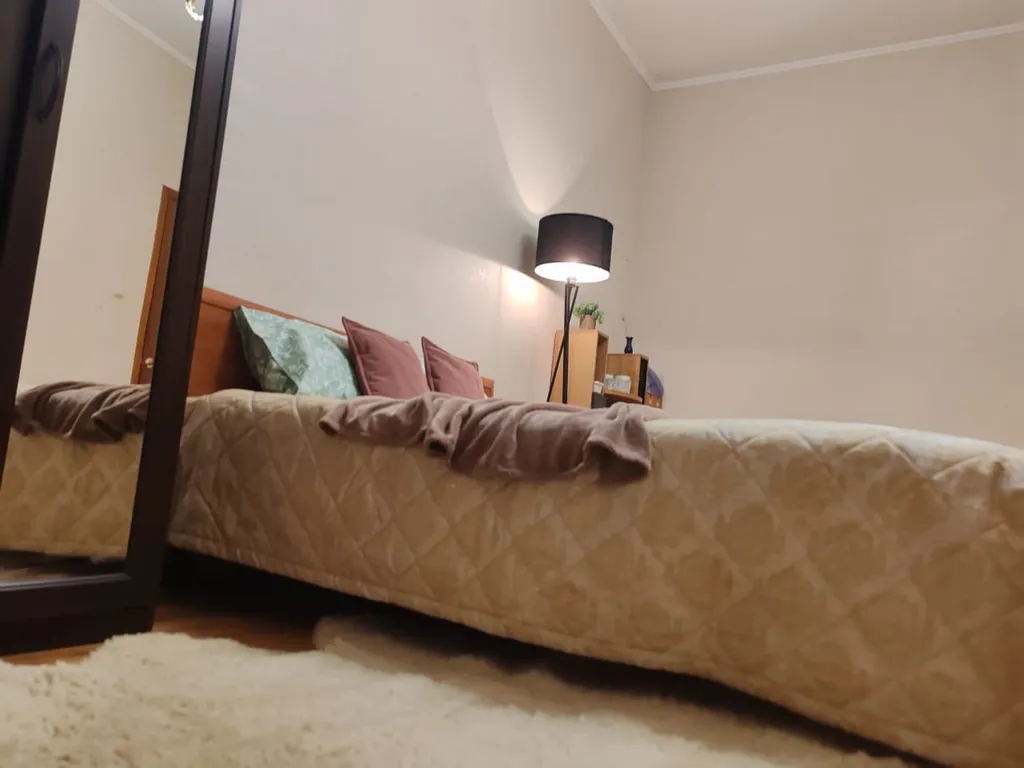 Квартира Комната в готическом замке в 5 минутах от трех вокзалов — Москва