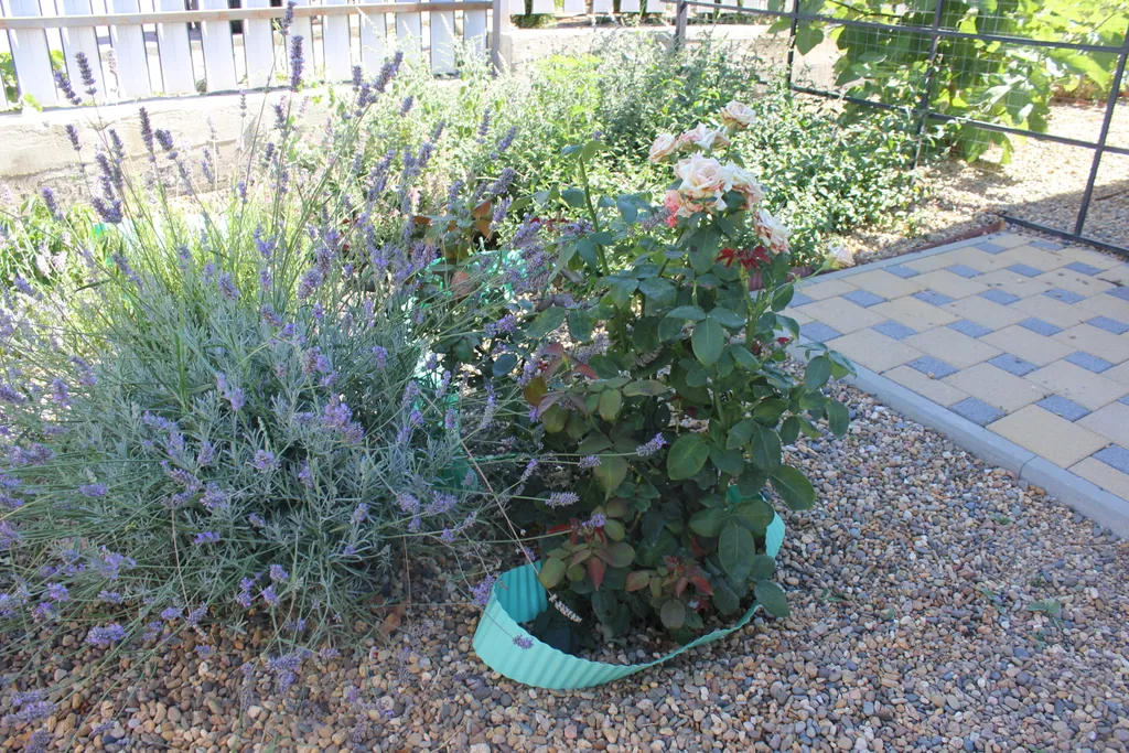 Апартамент в уютном частном секторе