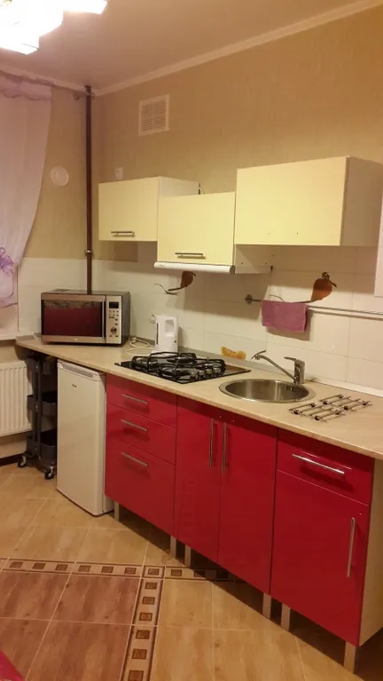 Квартира 1-комнатная Квартира — Светлогорск