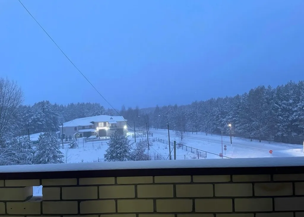 Уютная квартира с видом на лес