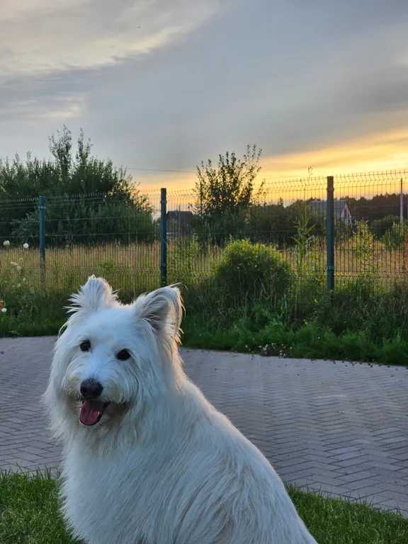 Дача вдохновения на море