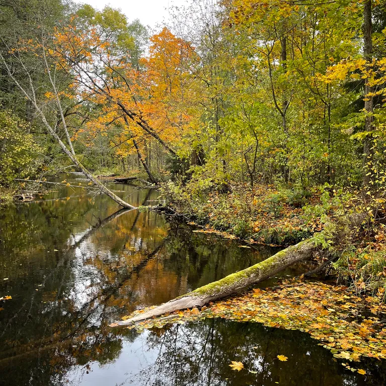 Концепт-усадьба возле голубых озер Речная пристань