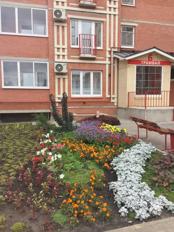 Красавица студия