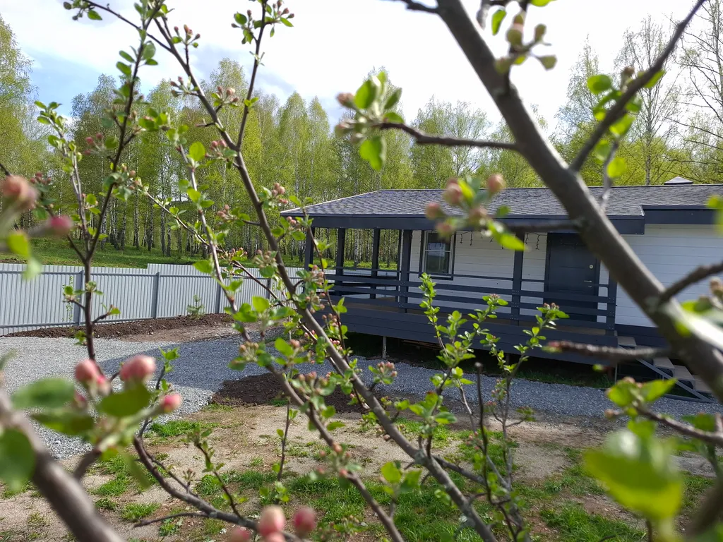 Дом в лесу с большой террасой