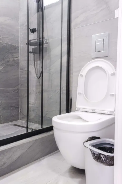 Квартира 1-комнатная Квартира — Сириус