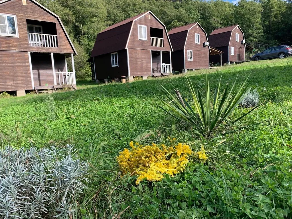 Коттедж Уютные коттеджи в Колхидском лесу на семейной экобазе — Беранда