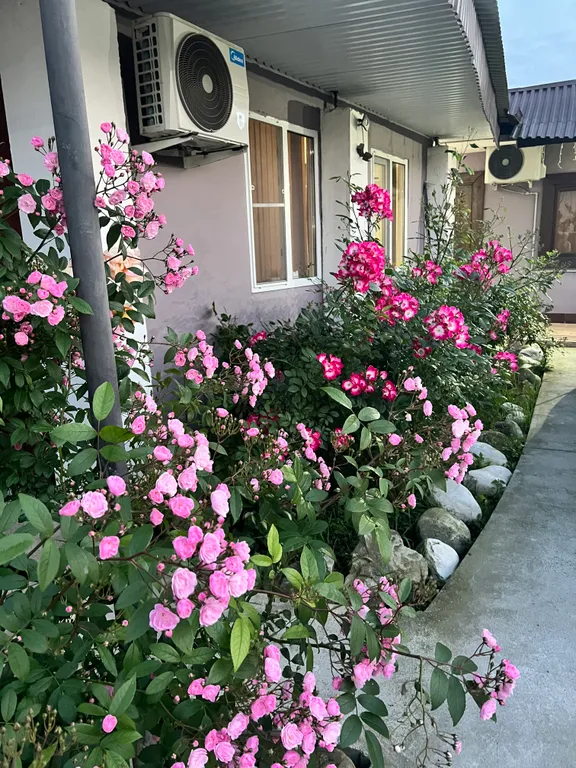 Квартира Комната — Сухум