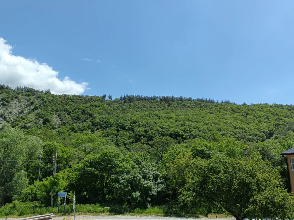 Квартира Семейная комната — Геленджик