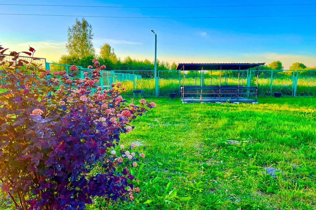 Коттедж Дом на берегу озера Плещеево — Веськово