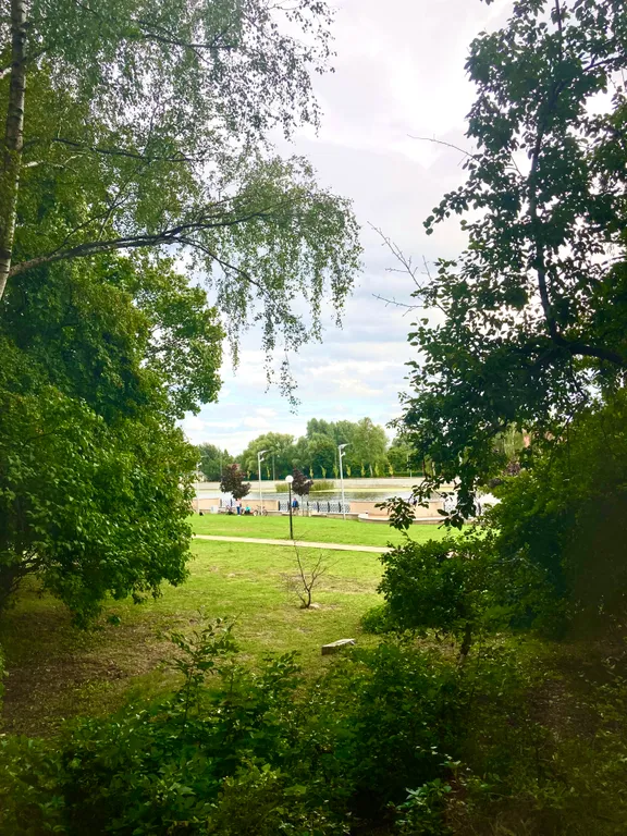 Студия у острова Канта