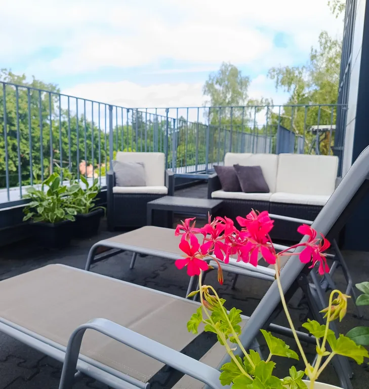 1-комнатная Квартира — аренда посуточно в Светлогорск