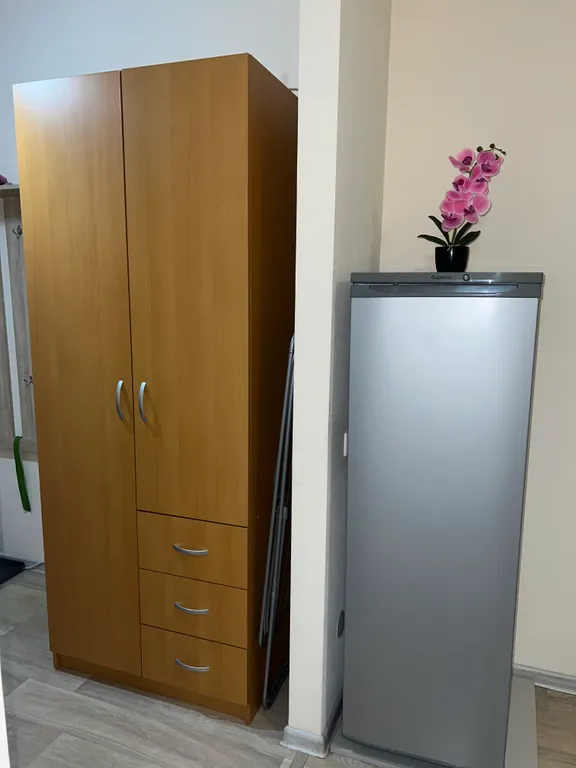 Студия с шикарным видом на лес