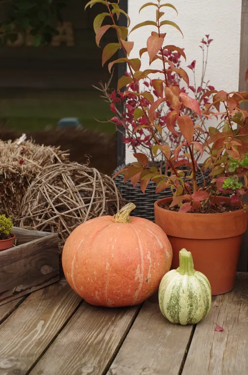 Гостевой дом Птушка