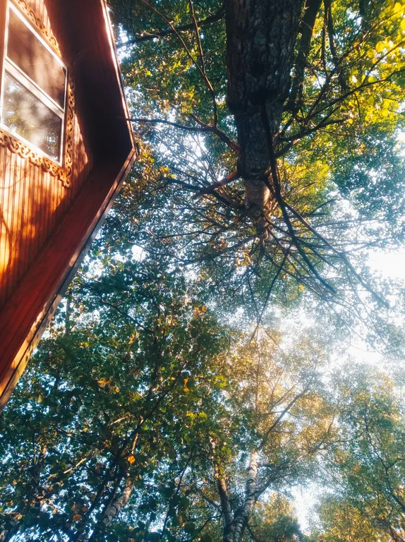 Двухэтажный Дом в Саду, баня и чан на дровах за доп.плату.