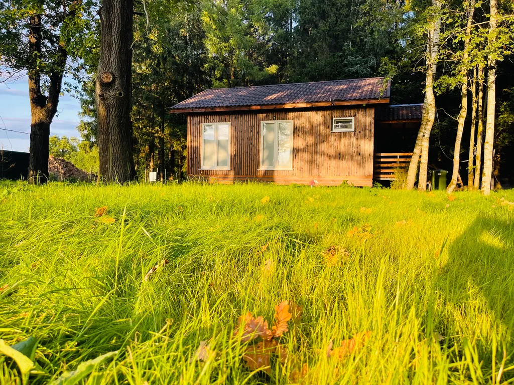 Домик у леса