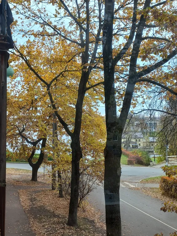 Квартира в доме у сквера