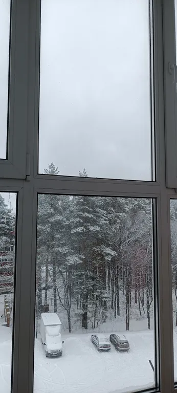 Квартира с видом на лес