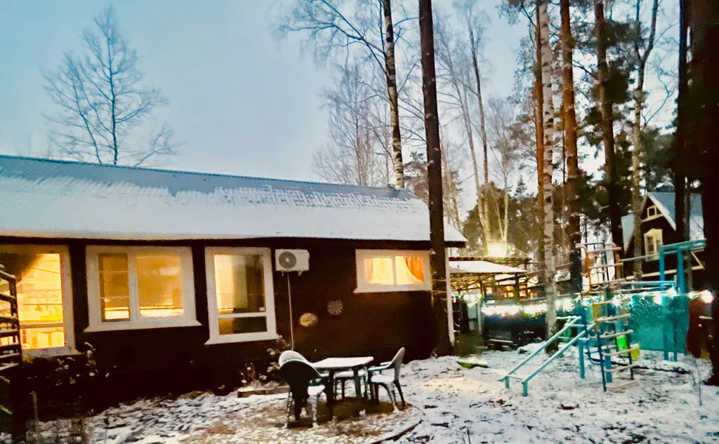 Уютный дом с гусями