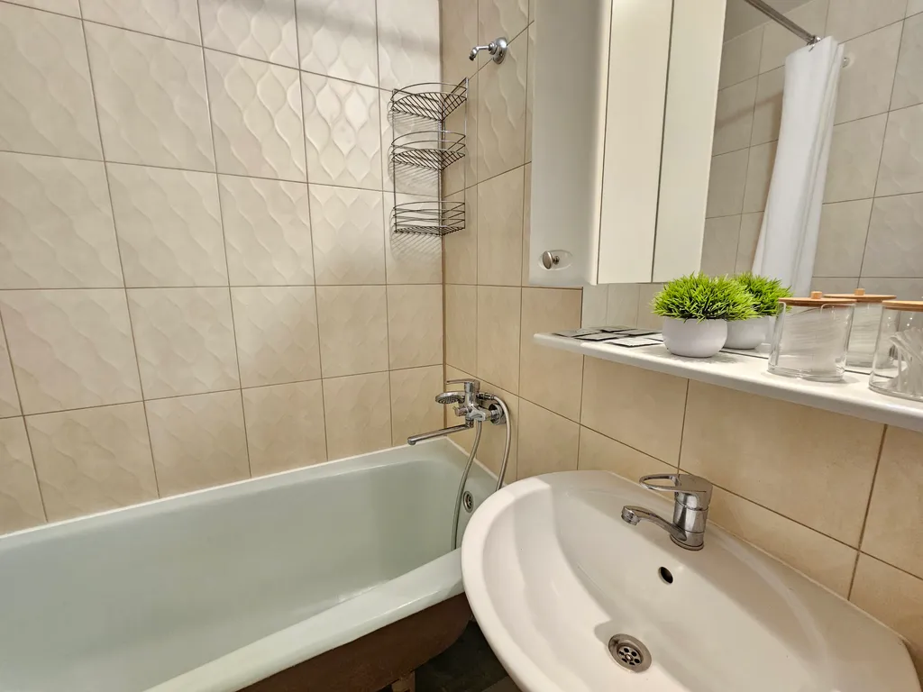 Просторная однокомнатная квартира