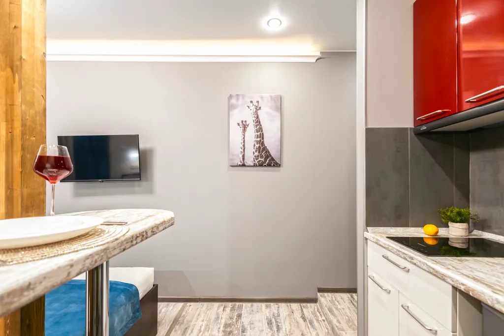 Студия с сауной