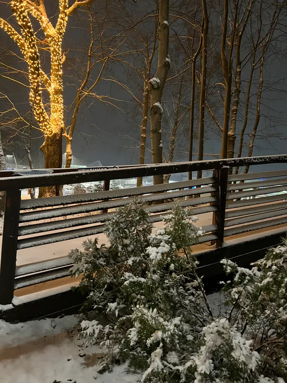 Новые апартаменты у моря в живописном месте в центре