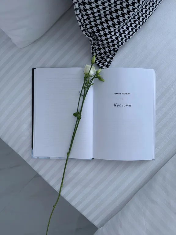 Квартира 1-комнатная Квартира — Калининград