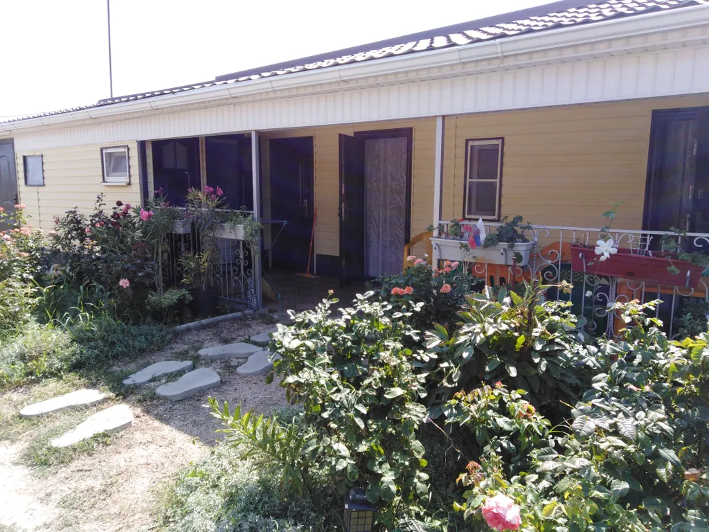 Номер семейный Персик