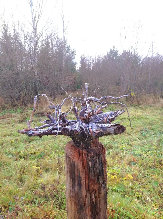 Уютный гостевой дом в поместье Большое небо в экопоселении