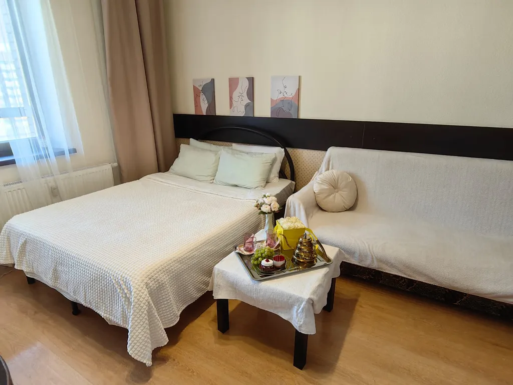 Уютная видовая студия у метро