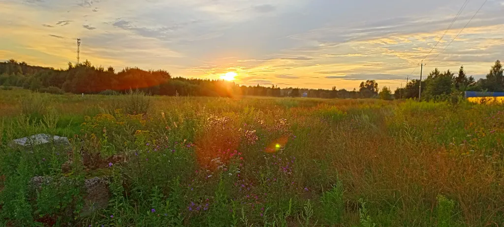 Пикник Хаус