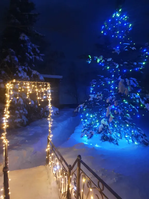 303 Студия комфорт