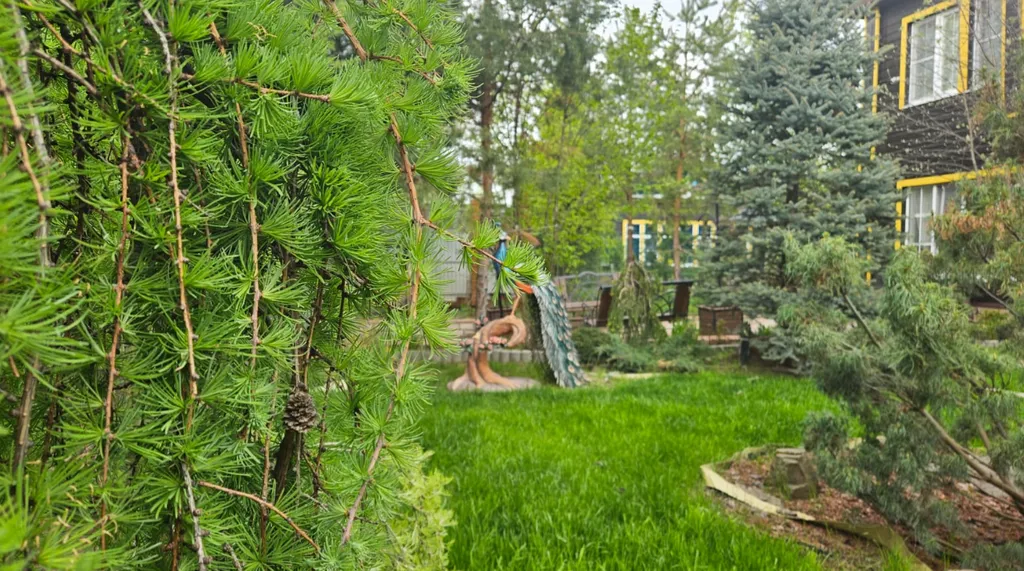 Уютный гостевой дом Живица